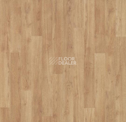 Линолеум Forbo Eternal Wood 11912 whitewashed oak фото 1 | FLOORDEALER